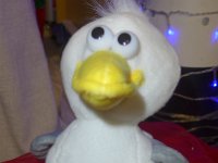 Malwin laufend (4)